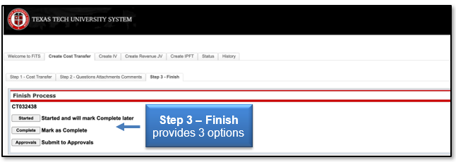 Step 3 - Finish provides three options