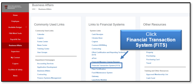 Click FiTS under the System Links in WebRaider portal