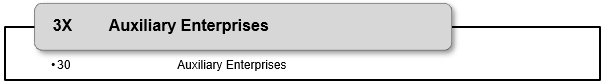 List of 3X Auxiliary Enterprises fund code
