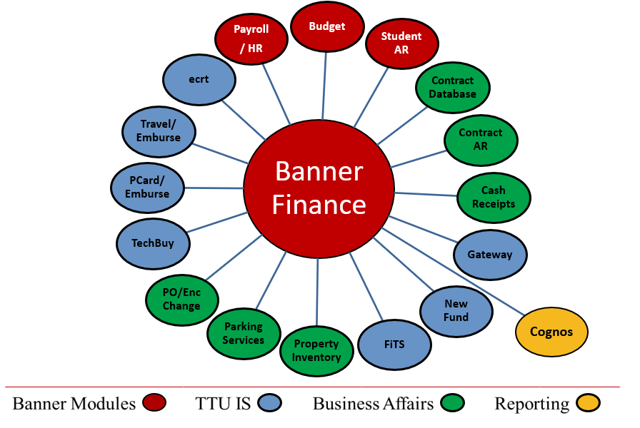 Model shows Banner Modules, TTU IS, Business Affairs and Reporting