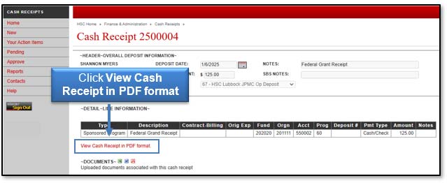 Image illustrating View Cash Receipt in PDF format link location.