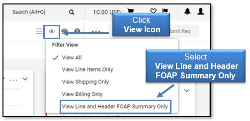 Image: Click view icon, select 'View Line and Header FOAP Summary Only'.