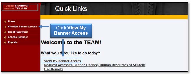 Image: Click View My Banner Access.