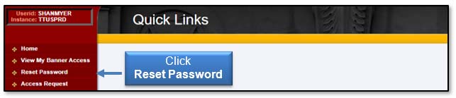 Image: Click Reset Password.