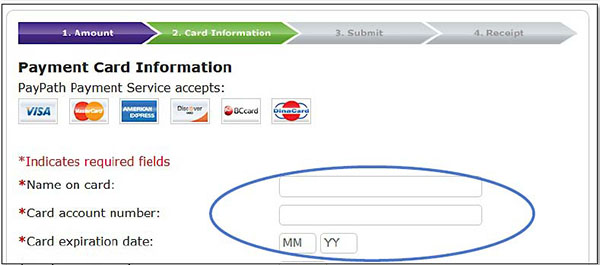 Image illustrating Payment Card Information fields.