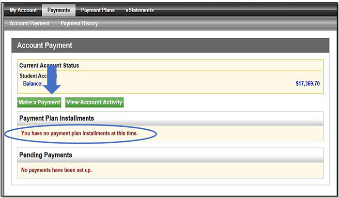 Image illustrating empty Payment Plan Installments panel.