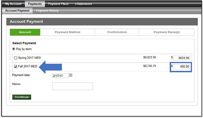 Image illustrating Term checkbox and payment amount fields.