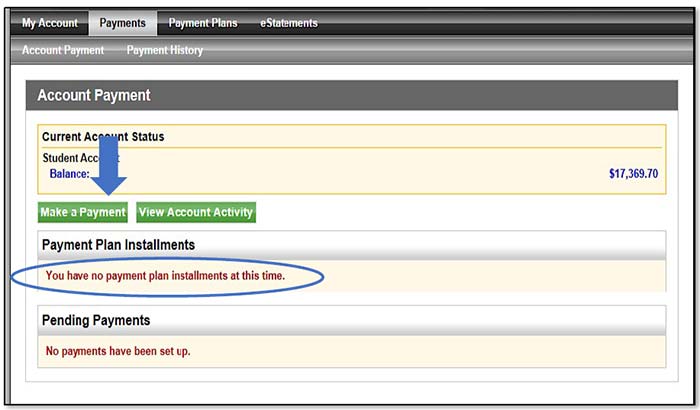 Image illustrating empty Payment Plan Installments panel.