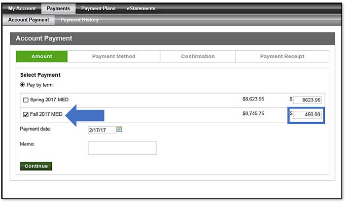 Image illustrating Term checkbox and payment amount fields.