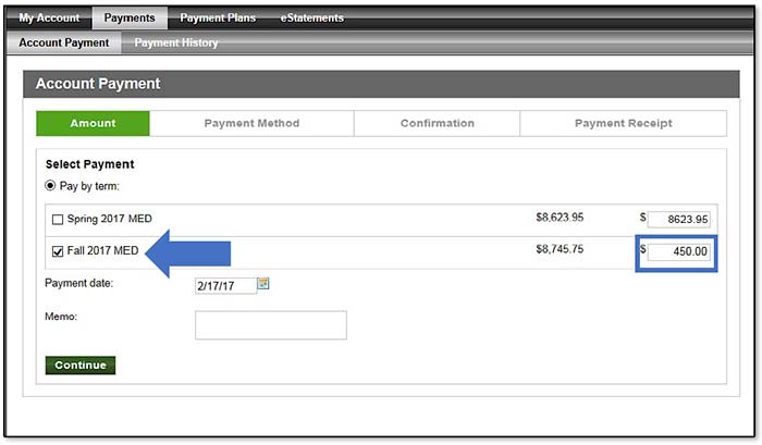 Image illustrating Term checkbox and payment amount fields.