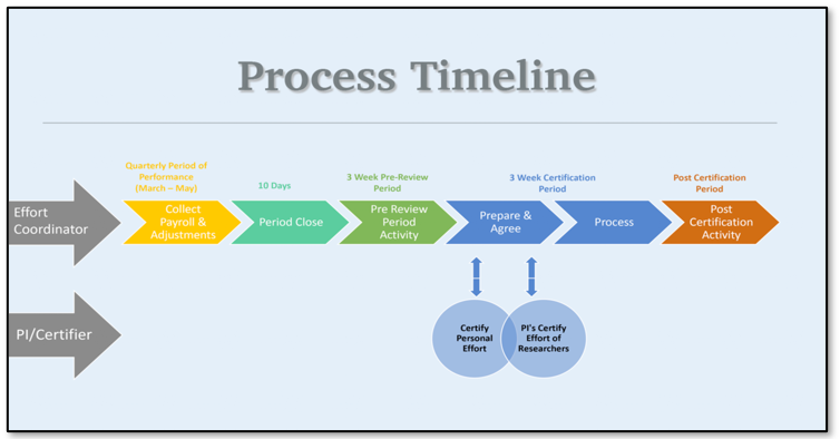 Image of the Process Timeline of Effort Certification for Effort Coordinator