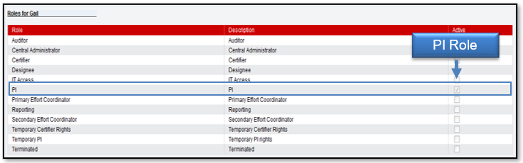 View of the assigned user's role as assigned by the Central Administrator